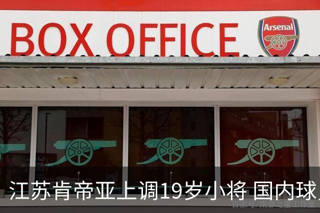 江苏肯帝亚上调19岁小将 国内球员注册达16人